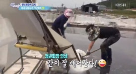 [종합] 6시 내고향  고령 개복숭아 & 제천 도리뱅뱅이 + 다슬기국 + 쉬리구이 도리뱅뱅이 맛은?