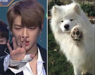 [스타폴] 강다니엘, 가장 닮은 건 역시 사모예드…도르마무보다 도로멈무
