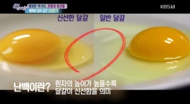[종합] 6시 내고향 부여 송정그림책마을, 부산 전갱이매운탕, 친환경계란농장, 함평 유황석 해수찜 부여서동연꽃축제는 언제?