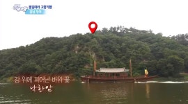 [종합] 6시 내고향 부여 송정그림책마을, 부산 전갱이매운탕, 친환경계란농장, 함평 유황석 해수찜 부여서동연꽃축제는 언제?