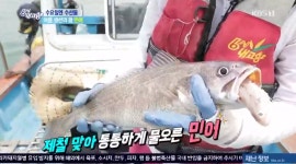 6시 내고향 서천 해바라기강정의 맛은? 여름 보양식 민어의 놀라운 크기와 맛! 한우육회를 먹는 듯한 식감! 별미 중의 별미인 민어부레!