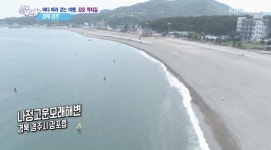 6시 내고향 경북 경주 감포의 깍지길과 용굴, 나정고운모래해수욕장, 감포 해국길, 감포 참가자미! 용굴에서 인생샷을 찍어보세요! (1)