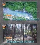 생방송오늘저녁 가평 조약돌숯불닭갈비 맛집 위치는? 명지계곡-리버마켓-ATV·열기구체험 등 수도권 여행지 각광!