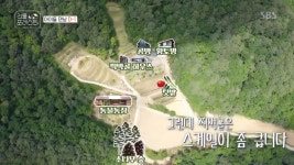 리틀포레스트 강원도 인제에 열린 힐링 하우스...이서진의 다정다감한 변신 삼촌이 해줄까? (종합)