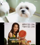 [종합] 베짱이 이춘재 용의자 특정한 과학수사, 미이라도 DNA 감식 가능? 완전범죄 불가능!…종자 자주권과 동물매개활동