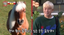 집사부일체 뉴질랜드편 이승기, 이상윤-육성재 닮은 동물에 폭소…사부는 김병만