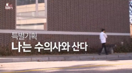 TV 동물농장 서울대 동물병원 원장님의 하루…황철용 수의사 16년째 반려견과 함께 출근