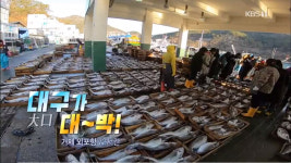 [종합] 다큐멘터리 3일 대구를 위해 1년을 기다렸다 경남 거제시 외포항의 뜻깊은 겨울나기