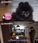 TV동물농장 박순석 수의사, 장애 있는 깜순이 입양한 사연…동물은 죄가 없다