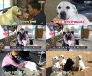 6년 만에 만났는데…동물농장 천재견 호야, 안타까운 근황 공개