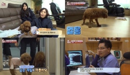 TV 동물농장 내려와 땅콩아, 맨바닥 혐오견 삼겹살을 구워주고 외출할 때도 카펫이 없으면 맨바닥에 내려오지 않는 트라우마-슬개골 탈구? (2)