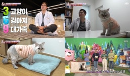 TV 동물농장 나는 수의사와 산다, 고양이 3마리-강아지 6마리…사나워서 파양된 노령묘 샤샤의 고양이답게 살게 만들기 (3)
