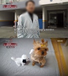 제보자들 통영 모 동물병원 원장 난 잘못한 거 없어 반려동물 사망·장애 의료사고 의혹, 당진에서도…