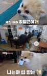 세상에이런일이 짬뽕집 종업원 강아지, 계산도 척척 손님들 깜짝 (1)