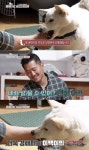 개는 훌륭하다 소유욕犬 이백이, 훈련 中 강형욱에 이빨 드러내…계속되는 공격 