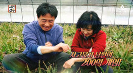 [종합] 서민갑부 알로에 사포나리아 농장, 껍질째 먹는 유기농! 권도영·장화자 부부 사고치고, 수습하고 