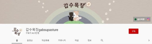 녹취록 내가 맞다…유튜버 갑수목장, 해명영상 게재→식지않는 논란에 결국 삭제