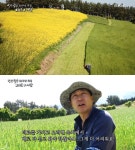 인간극장 죽도총각 아빠가 되다 편, 김유곤 더덕 판매, 코로나 19 때문에…