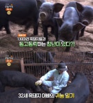 생방송오늘저녁 김동균 예천 흑돼지 농장 위치는? 인터넷 정육점 운영!