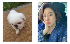 용인 CCTV에 다 찍혔다…꼭 신고해 찾을 것 개그우먼 김영희, 반려견 유기에 분노