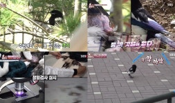 TV 동물농장 안 까칠한 까칠이, 꽁지털이 빠지고 아랫부리가 없어 날지도 먹기도 힘든 까치를 공격하는 까치들…전문가는 방생은 힘들다고... 