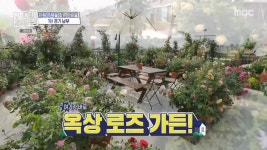 구해줘!홈즈 장미정원을 위한 단독주택 구하기...이진호 가제보가 설치된 집이다 인테리어 지식 뽐내 (2)