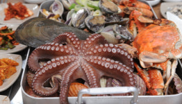 2TV 저녁 생생정보-맛의정석 8단 육해공 찜+끓여 먹는 사천 짜장 맛집