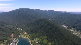 다큐멘터리 3일 전남 순천 굴목재, 송광사-선암사 이르는 조계산 편백나무 숲길 
