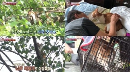 TV 동물농장 똥순이 구조 대작전, 주인이 똥순이를 케이지에 담아 문을 연 순간 올라간 19미터 가까운 나무에서 열흘 동안 버티고 15일 만에... 