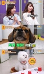 [어제픽] 마이웨이 김영옥, 임영웅 만나 나이 잊은 소녀로!…물어보살 에이핑크 정은지·오하영 오로지 팀, 천재견 토토·뭉이 등장