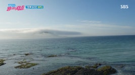 불타는 청춘 제주 바다로 향하다...최용준 거침없는 훌렁, 김광규 속옷도 갈아입는 거냐 당황 (1)