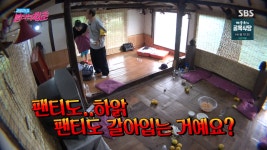 불타는 청춘 제주 바다로 향하다...최용준 거침없는 훌렁, 김광규 속옷도 갈아입는 거냐 당황 (1)