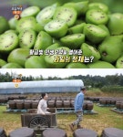 생방송오늘저녁 영월 토종 다래, 곽미옥 농장 위치는? 연 매출 1.5억