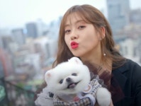도도솔솔라라솔 고아라, 강아지 미미부터 원작 및 촬영지까지 관심