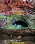 김영철의 동네한바퀴 포천 여행, 한탄강 하늘다리 비경 → 이동갈비 맛집 침샘 자극
