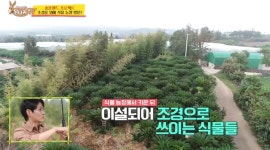 당나귀귀 송훈, 제주도 프로젝트 위해 4천평 식물 농장 방문 (2)