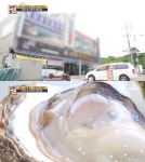 직접 잡은 자연산 해산물…서민갑부 영덕 머구리, 어머니와 운영 중인 횟집 어디?