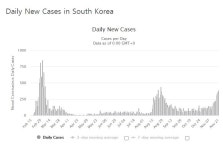 코로나19 확진자 5일 연속 300명대에 결국 수도권 사회적 거리두기 2단계 24일 격상…유흥시설 영업 중단, 카페는 포장·배달
