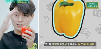 '편스토랑' 류수영, 요리책 소개하며 '로메스코 소스' 만들기 (1)