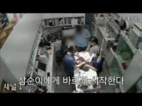 탈취제 뿌리고 폭소→마취 깼는데 미용 지속…페브리즈 학대 광주 동물병원 CCTV 영상 공개됐다