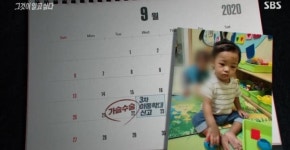 정인이 사건, 방송 후 진정서 작성 방법까지 주목 받는 이유