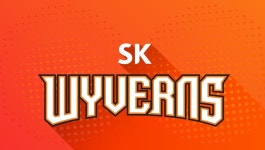 소중한 추억 신세계 이마트, SK와이번스 인수 소식에 입장 밝힌 SK텔레콤