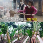 김영철의 동네한바퀴 안성 메밀묵밥 맛집, 도토리빈대떡-홍어무침 外…손끝바나나 농원 위치는?