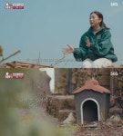 동물농장 이효리, 첫 반려견 메리…부모님이 보신탕집에 보냈다