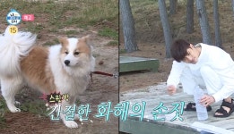 강아지와 함께…배우 성훈, 양희와 바다 찾아간 이유