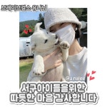 치료에 큰 도움 되길…브레이브걸스 유나, 인천 서구 개농장 강아지 개인 구조자 후원 