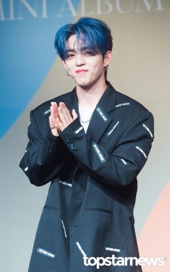 플레디스 측 