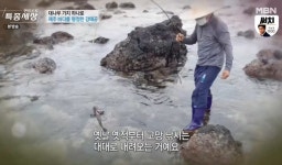 [종합] 특종세상 대나무 가지 하나로 우럭 낚시…치매 할머니와 교통사고 후지마비 강아지가 모자가 된 사연