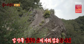 [종합] 심야괴담회 안경 공장부터 홍천강 괴담까지…공포 스팟 특집