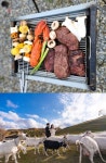 생방송투데이-빵플레이스 태백 목장 베이커리카페, 산양유크림치즈빵 맛집!…한끗의기적 성남 무뼈삼겹살·한우꽃등심 고깃집 위치는?